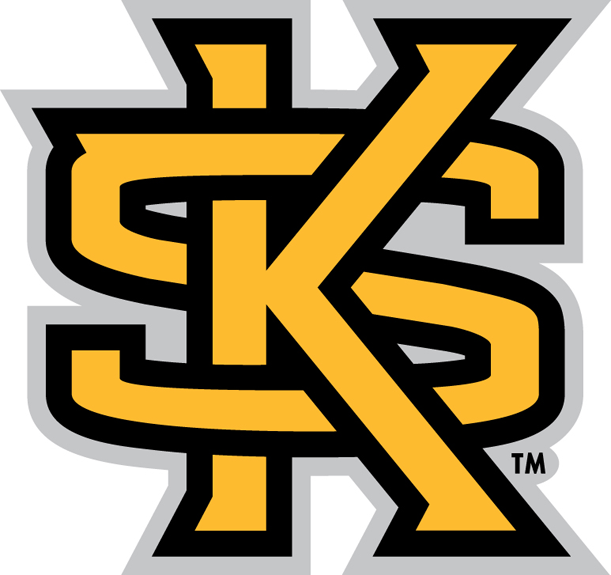 Kennesaw State Owls 2012-Pres Secondary Logo diy iron on heat transfer